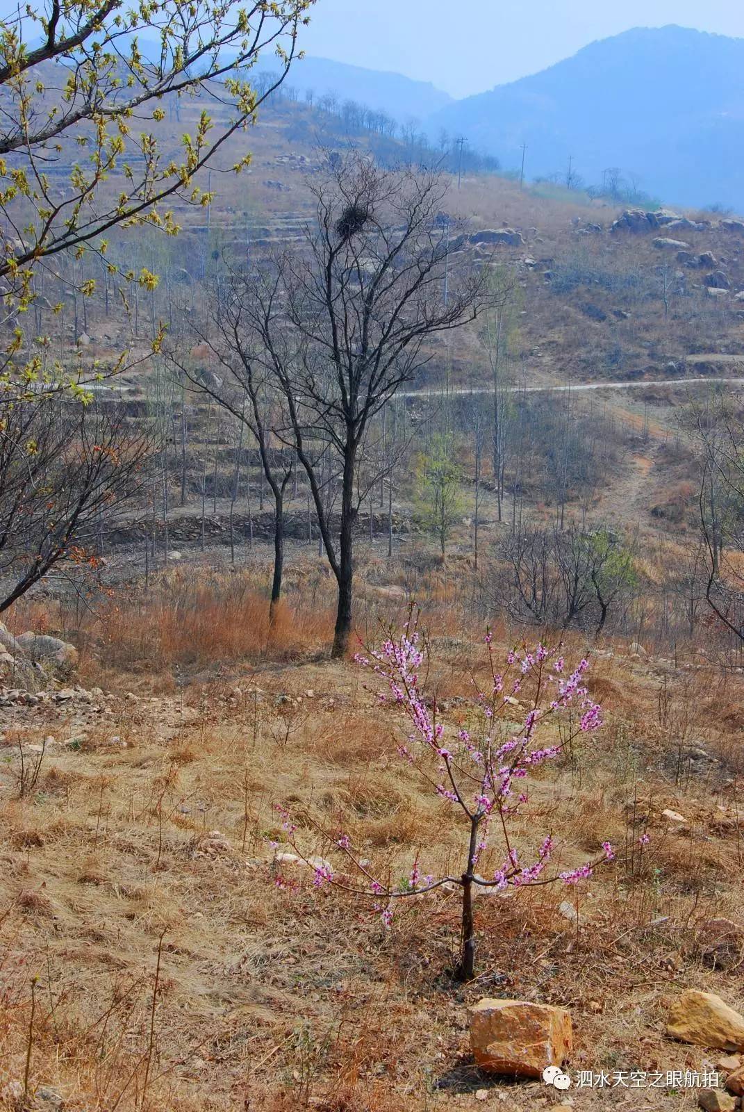 蒺藜沟图片