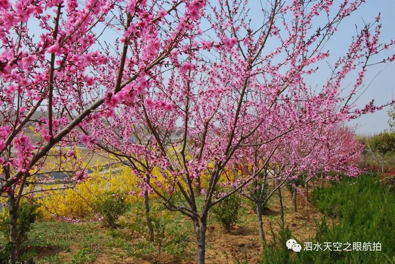 蒺藜沟图片