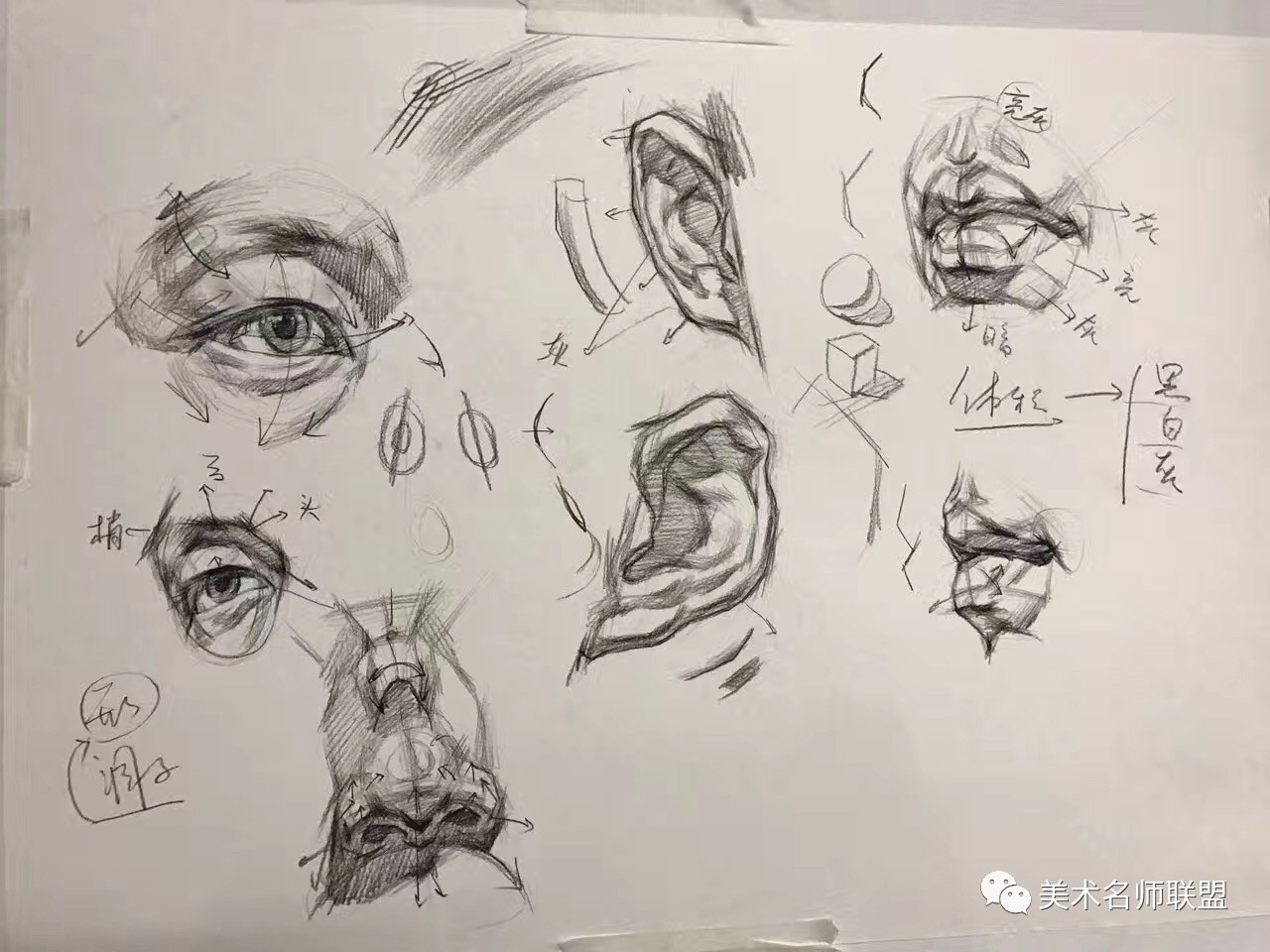 洪常順解析女青年以及素描課件名師解讀大素材造像篇