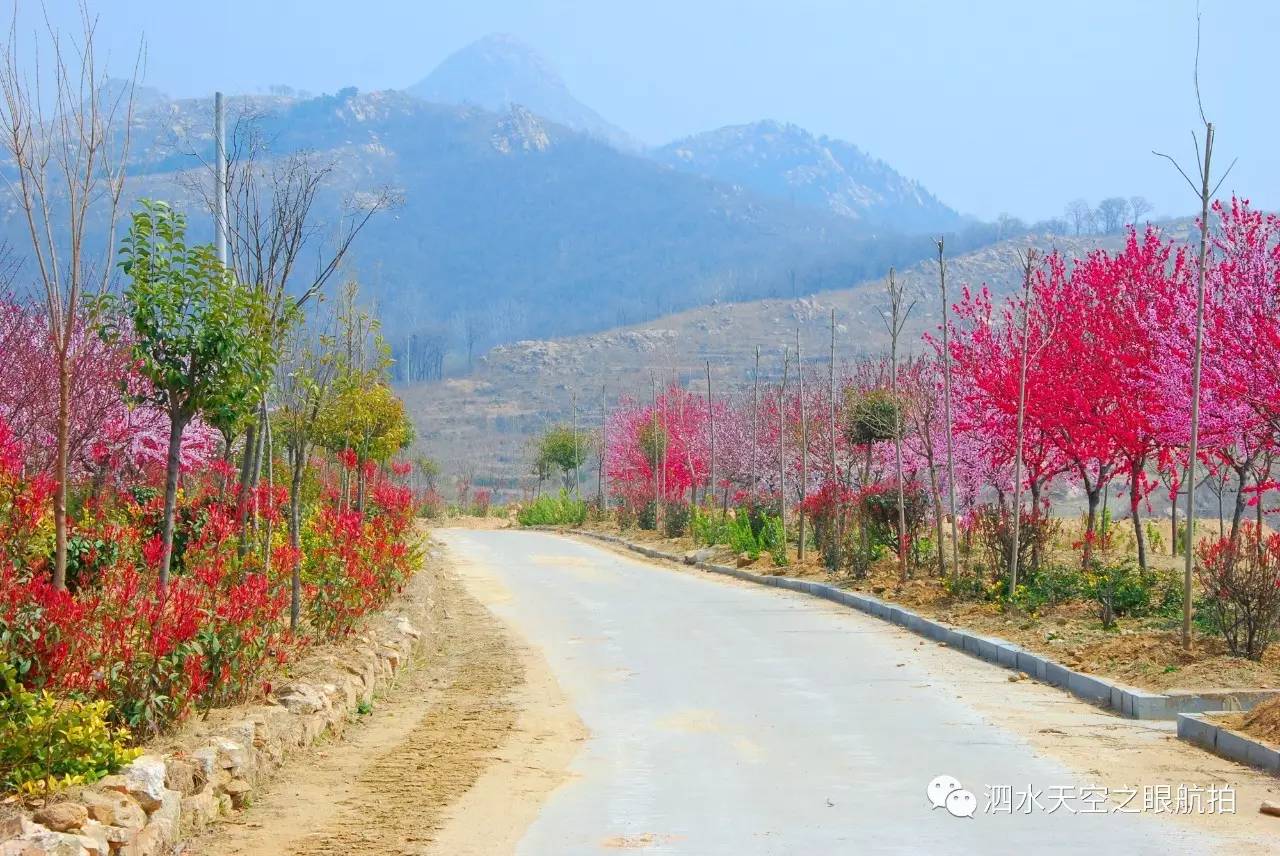 蒺藜沟图片