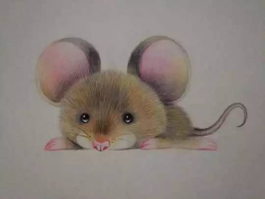 小老鼠彩铅画图片