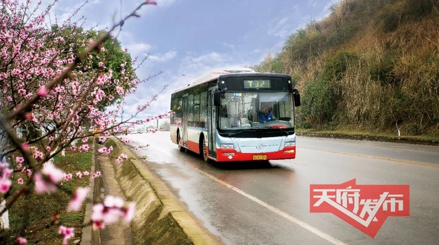 这些地方正是春暖花开时期,开往春天的公交车带你享受美景!