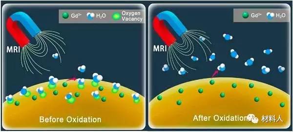 acs nano:光热治疗中gd3 基造影剂氧空位可以显著增强磁共振成像