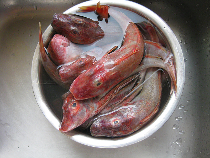 红秋姑鱼图片
