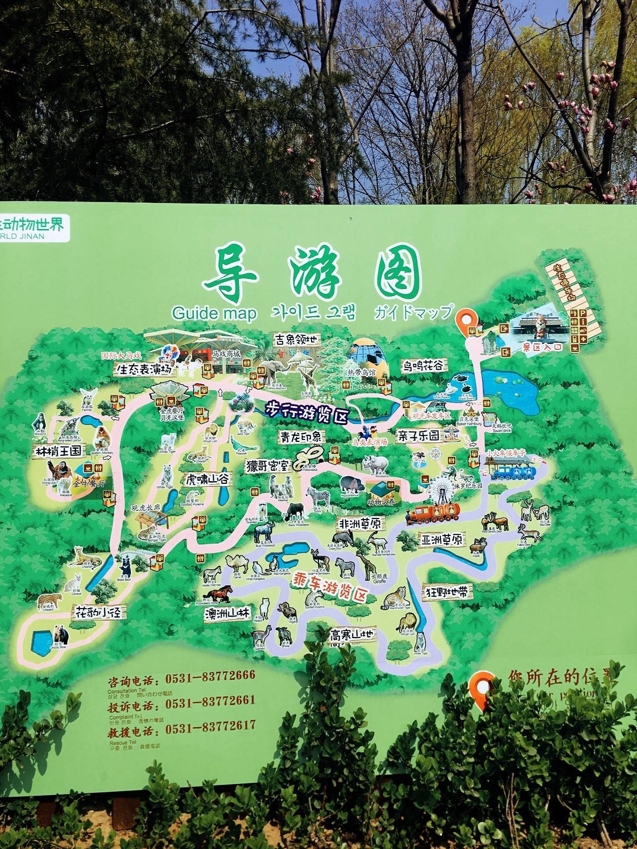 北京野生动物园导览图图片