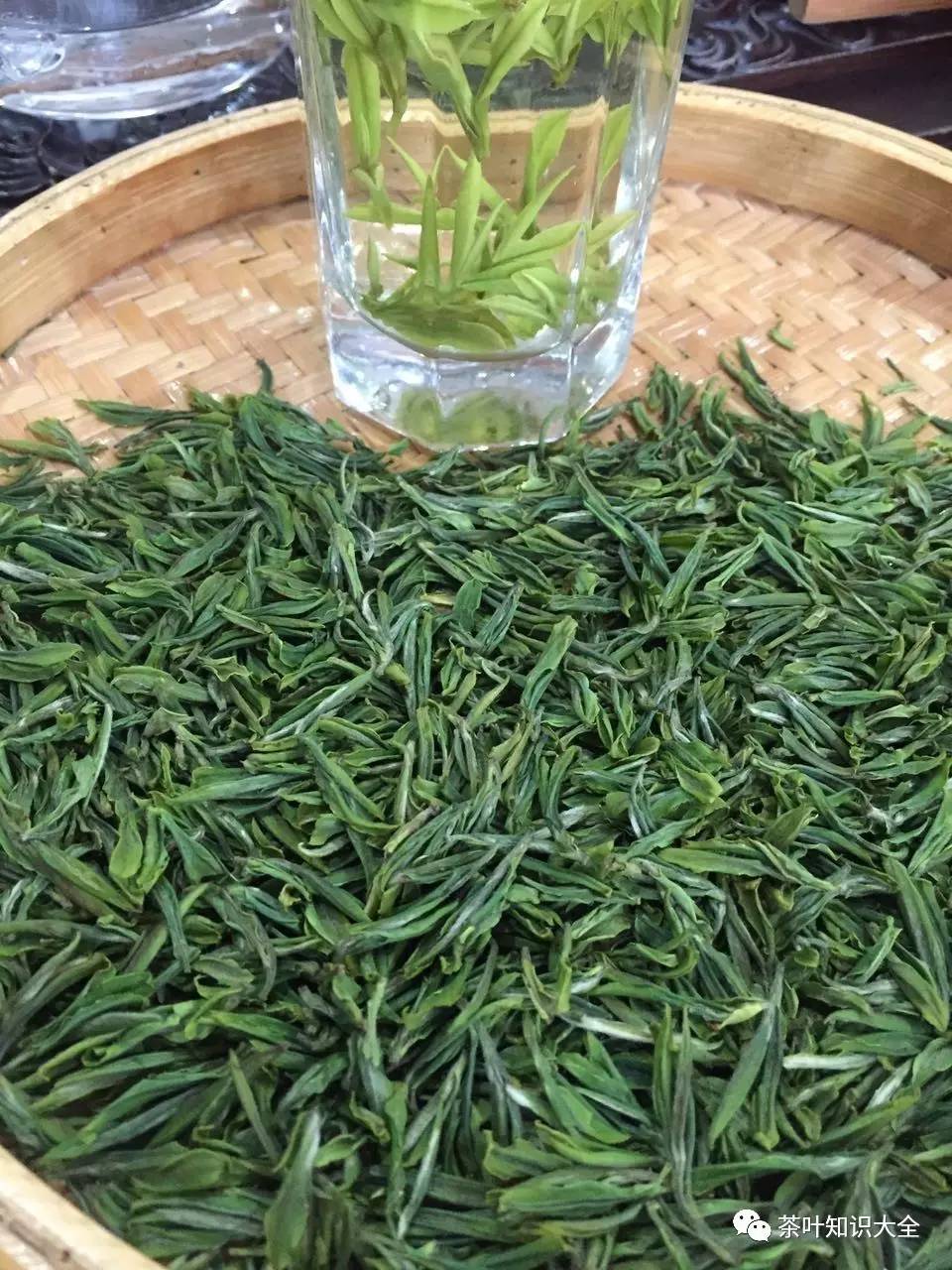 清明茶,来自春天的自然馈赠