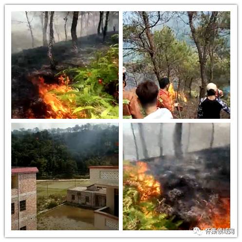 怀集冷坑砍死图片