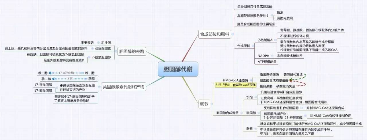 生物化學思維導圖