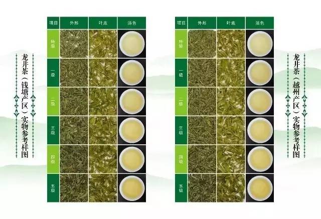 龙井茶图片 等级图片