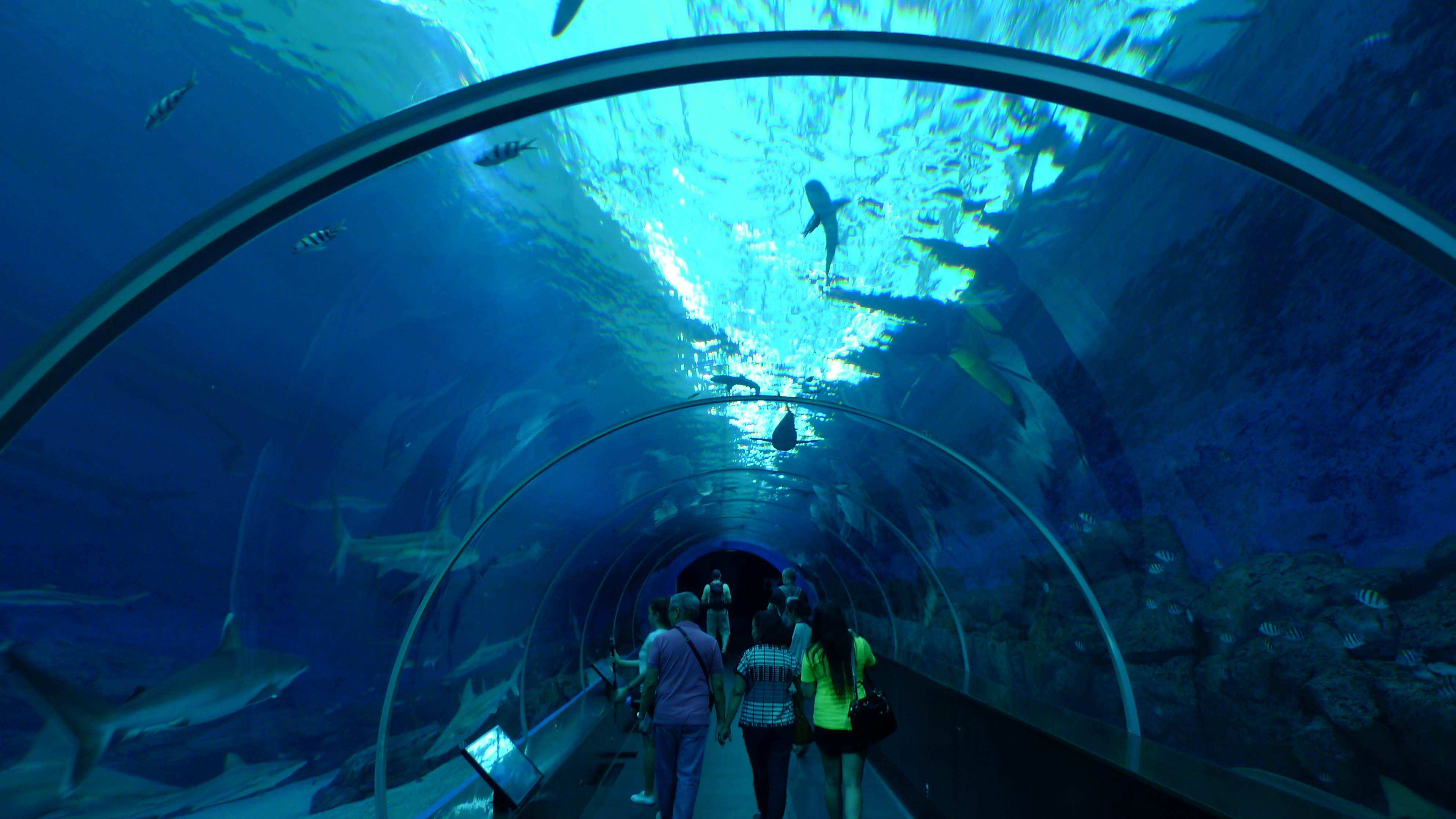 桂林多多海洋水族馆图片