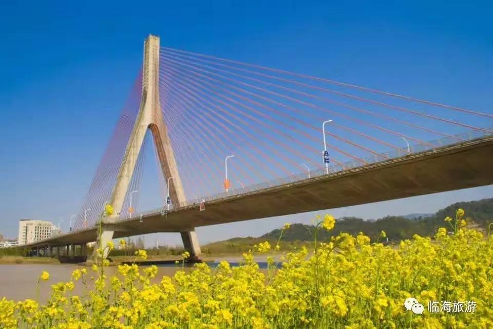 临海东湖的桥图片