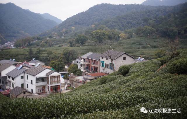 梅家坞,满觉陇,翁家山,双峰村,九溪村,龙坞