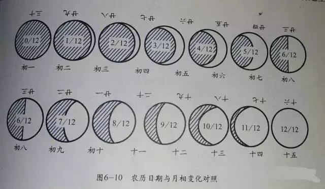 估計所看到的月亮的發亮部分佔直徑的幾分之幾,月相與農曆日期對照可