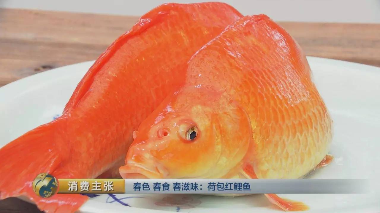 和我们一起到江西婺源,去品尝可以吃的红鲤鱼!