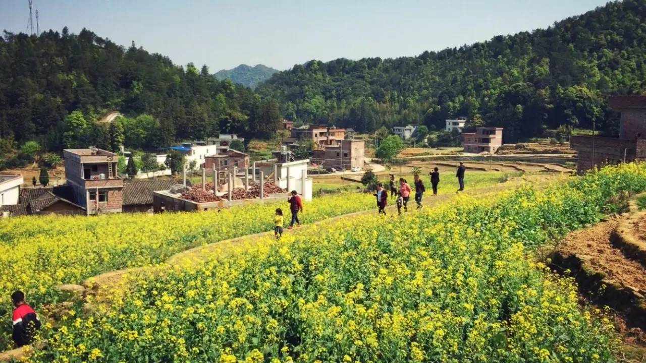 龙川县麻布岗图片