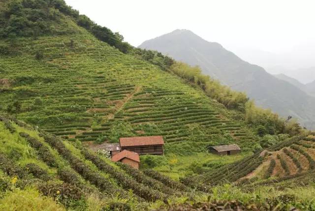 即将截止 戴村山地马拉松:奔跑山清水秀的五月江南