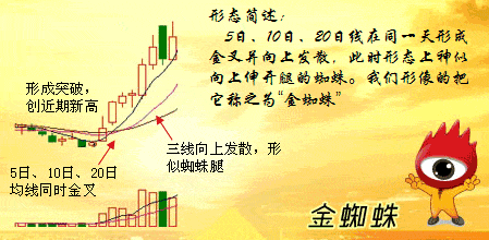 金蜘蛛k线形态图解图片