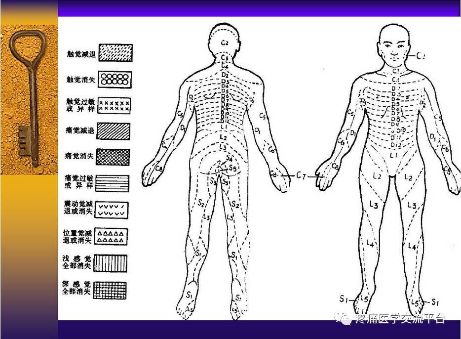 人体感觉平面定位图图片