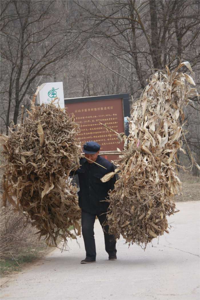 农民挑柴的图片图片