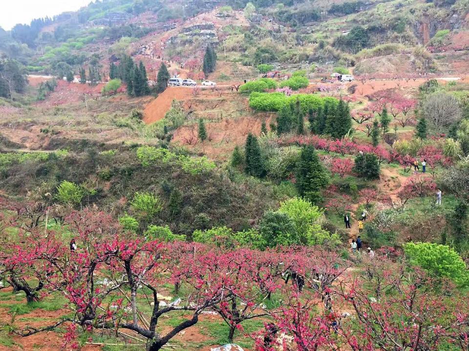 河源桃花源景点介绍图片