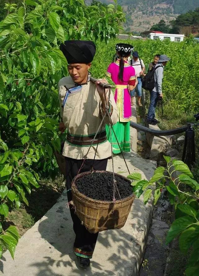 德昌小高乡海花村图片图片