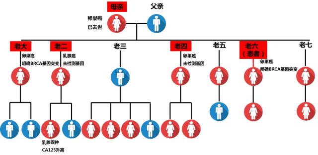 我们来看看这个患者的家族遗传图谱:来源丨医学界肿瘤频道作者丨寿司