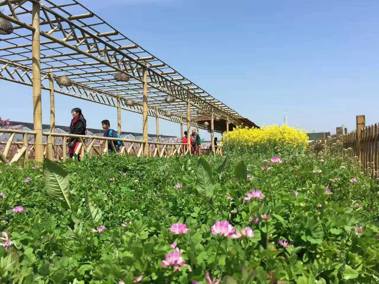 百果园 装备农业情景化旅游模式 打造山阳田园4.0版本