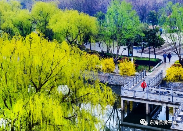 海陵湖色彩缤纷的百合园现已经成为国家4a级景区可以与杭州西湖相媲美