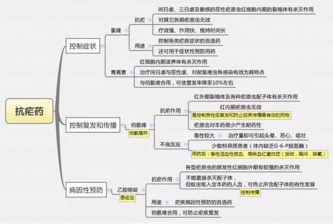 思维导图丨抗疟药