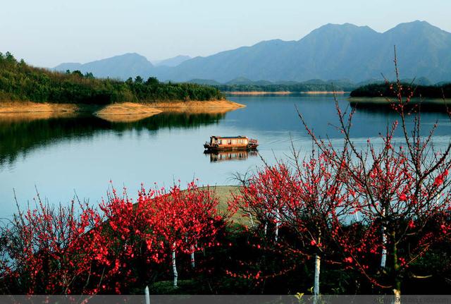 庐山西海花源谷桃花烂漫山水间