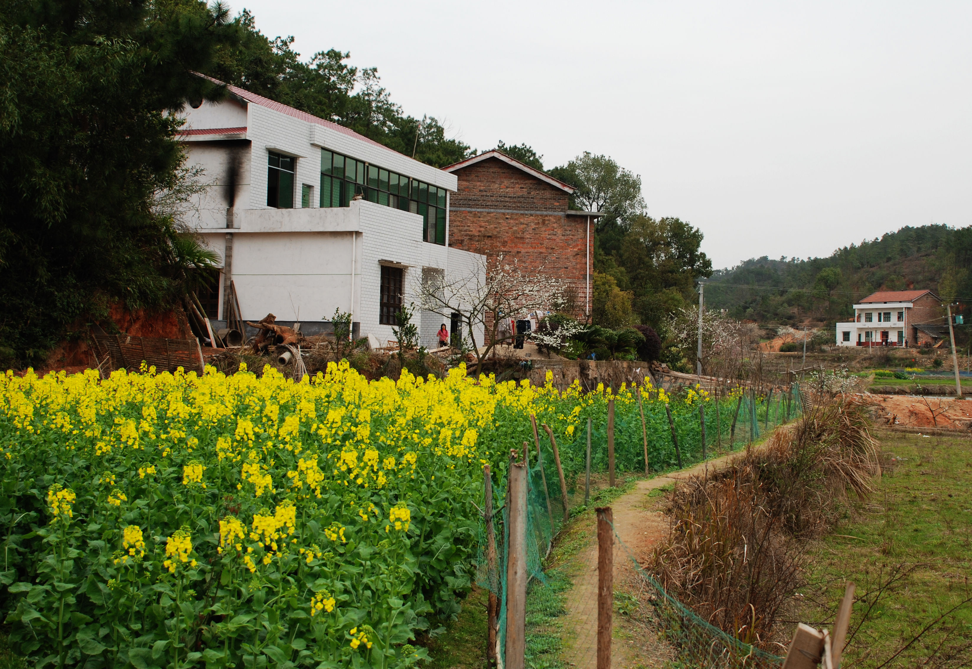 湖南农村照片图片