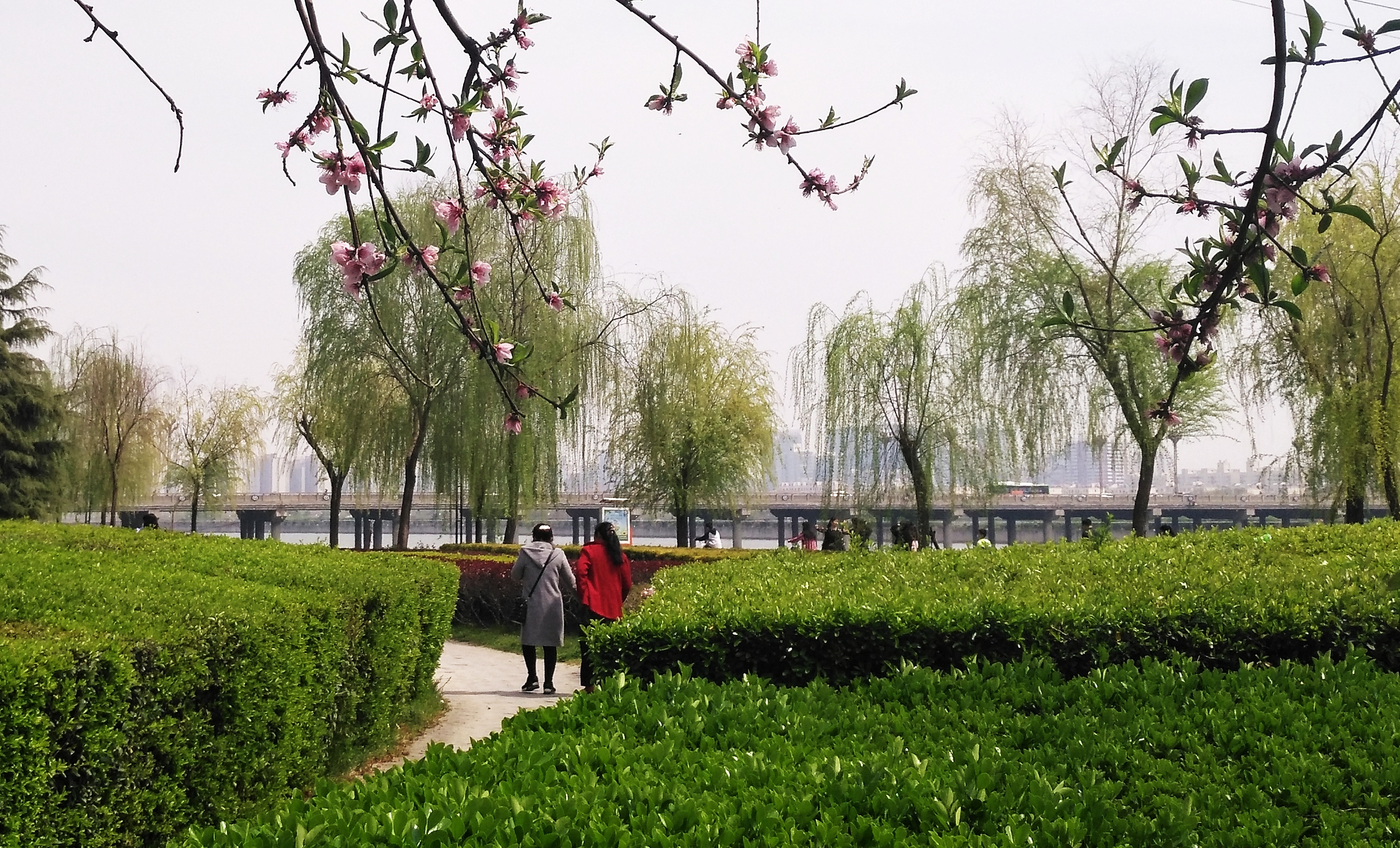 春光明媚休闲赏花咸阳湖畔