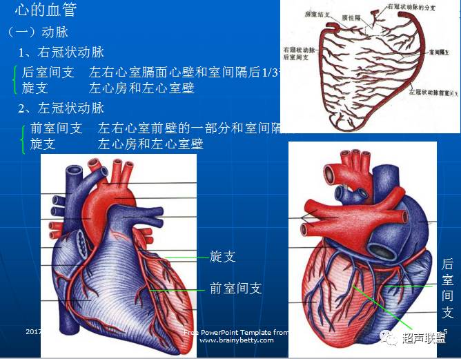 去诊断冠状动脉供血不足,拿药,但是没有住院,可以入商业保险吗