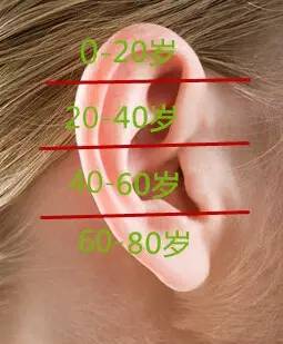 耳垂的部位一般代表人60岁以后的运气,一个人耳垂又大又长又饱满060
