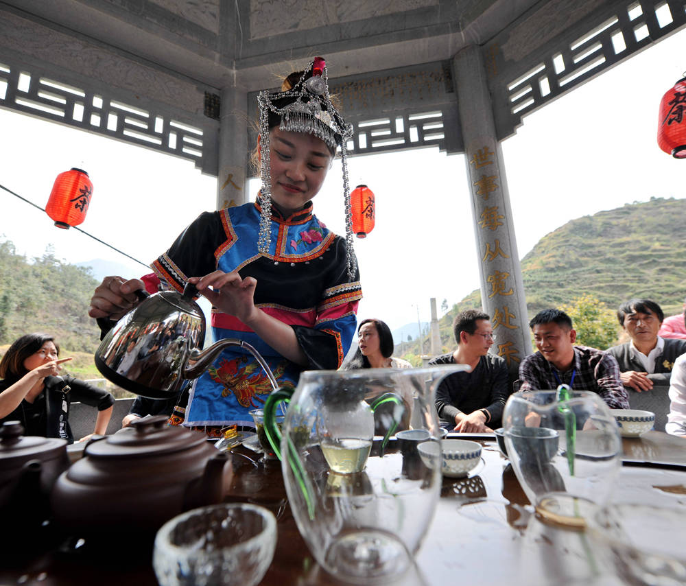 福安畲族茶文化图片