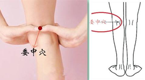 常按这三个穴位,有效保养膝盖 按摩腿部穴位以膝关节外侧的足三里