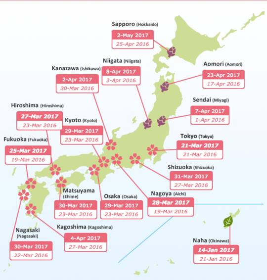 全球樱花地图图片