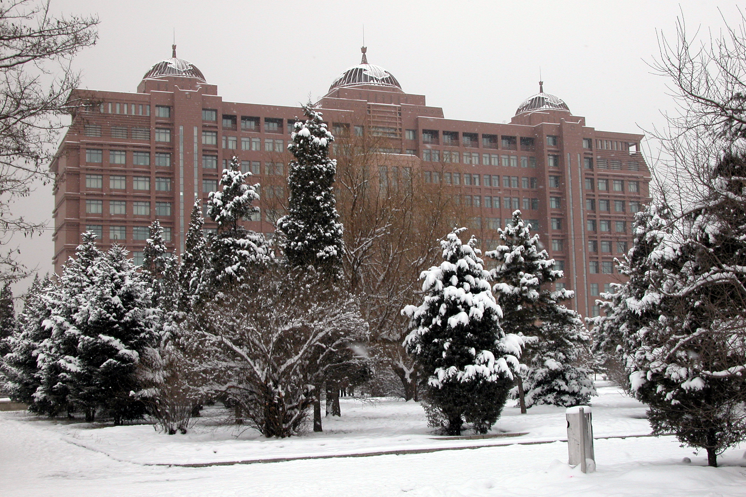 内蒙古大学,位于内蒙古呼和浩特,简称内大,是国务院1978年确定的88所