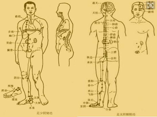 奇经八脉之任督二脉任脉任脉是奇经八脉之一,与督,冲二脉皆起于胞中