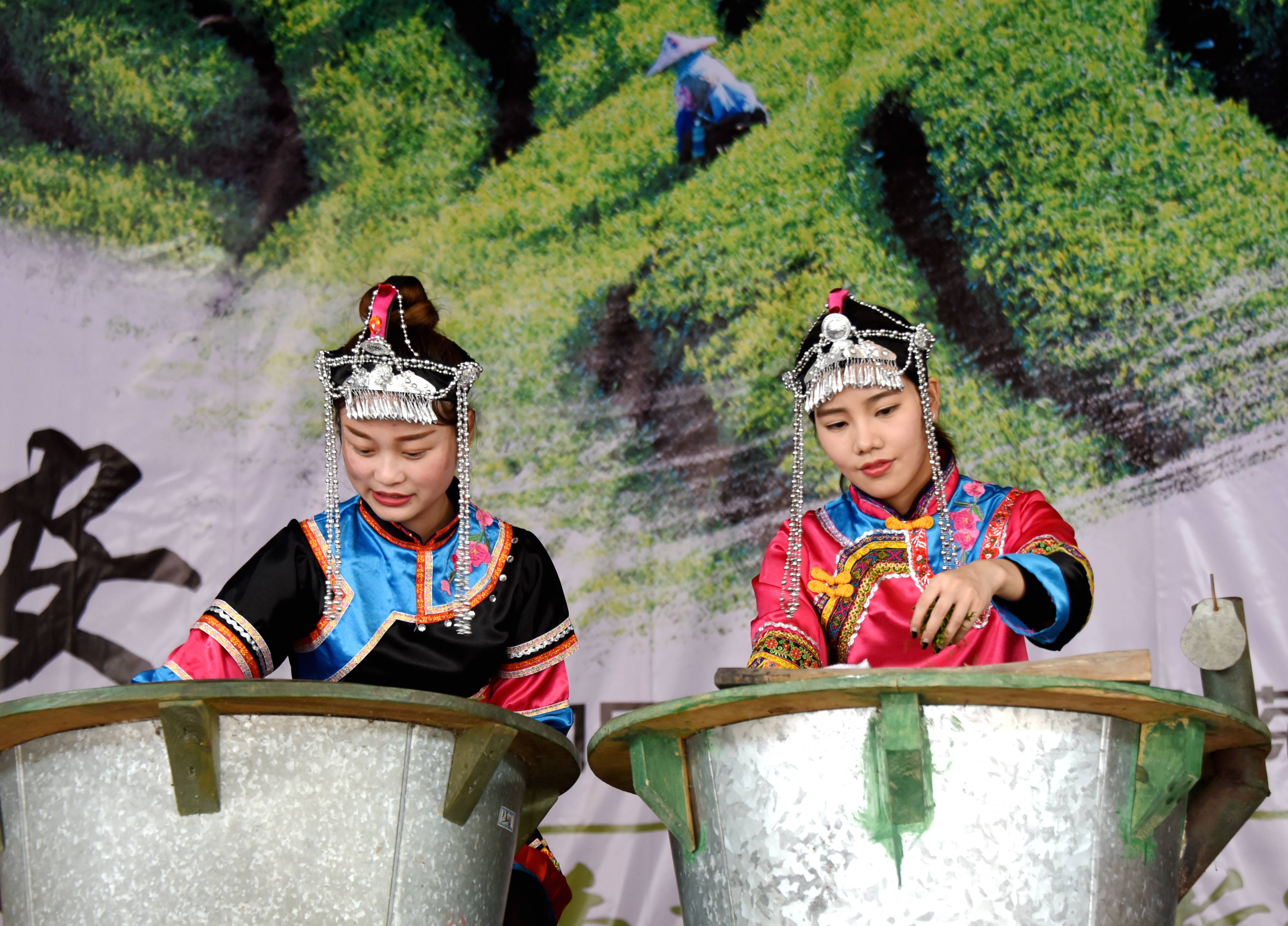 福安畲族茶文化图片