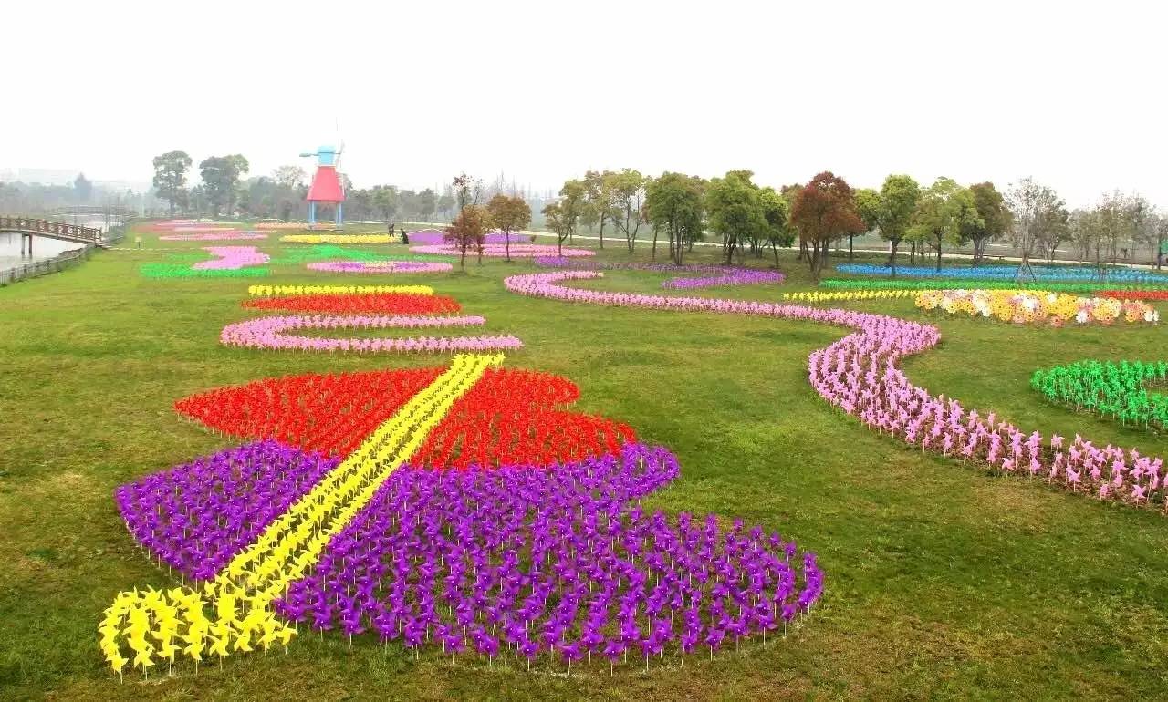 踏青江油市首届荷兰花海风车文化节震撼来袭免费门票大派送送送