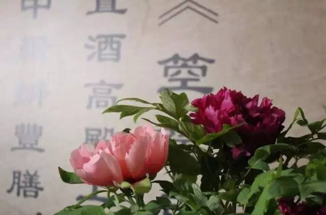 庭前芍药妖无格,池上芙蕖净少情唯有牡丹真国色,花开时节动京城