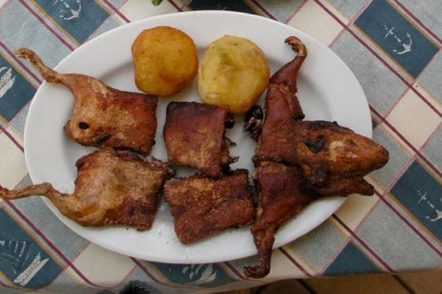 荷兰猪料理图片