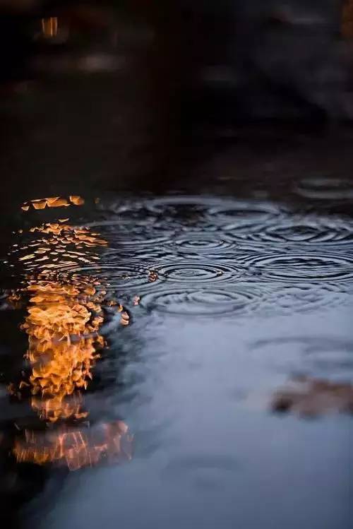 烟雨江南,不一样的春景!