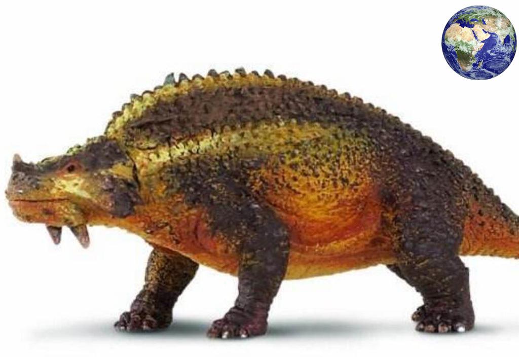 萌萌哒西伯利亚斯龙其实呢在二叠纪之前,地球上是没有龟类生物的