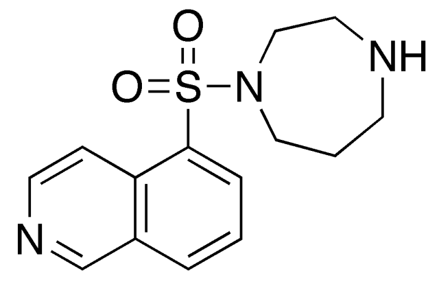 前沿 荣登封面:这款药物或能提高胰腺癌治疗效果