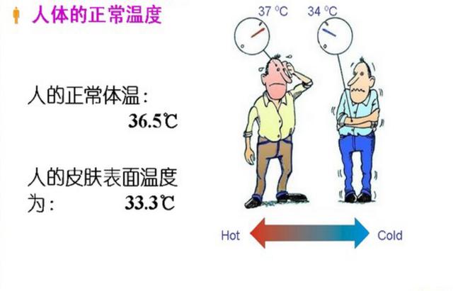 人体内部温度图片