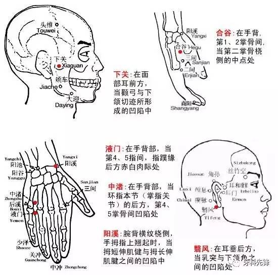 牙神经痛按摩哪里图解图片