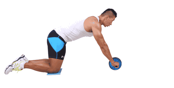 健腹轮标准动作动态图图片
