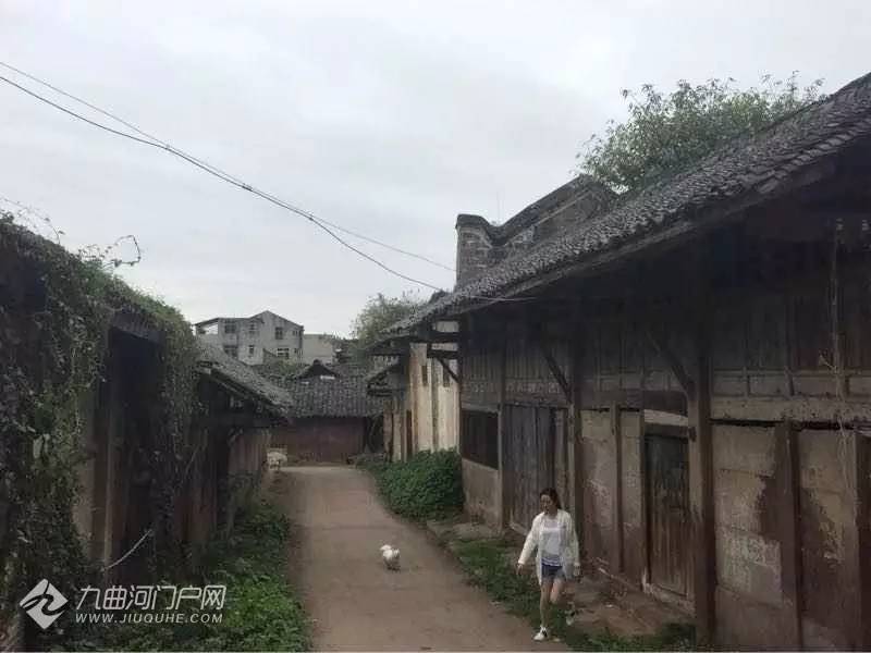 资阳保和镇正在打造万亩森林公园畅游其中你可能还会迷路